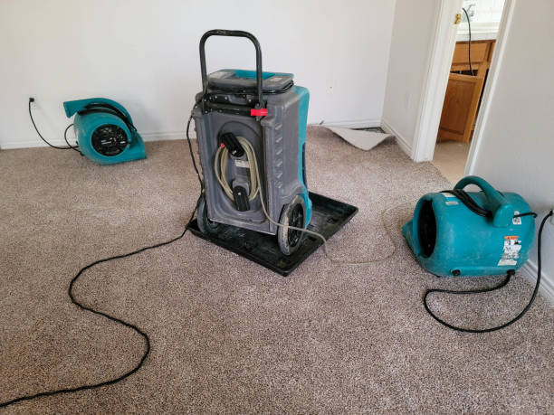 Best Water damage restoration near me  in Deadwood, SD
