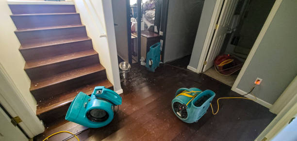 Carpet water damage restoration in SD