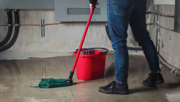 Best Emergency water damage restoration  in Deadwood, SD