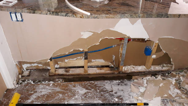 Best Professional water damage repair  in Deadwood, SD